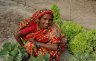 tn_pa7.jpg - <p><strong>Vegetable growing on sandbanks.</strong><strong> </strong></p>
<p><strong> </strong><strong>Shakina with a water melon</strong></p>
<p>Once barren sand banks are being brought into cultivation in the dry season by agricultural techniques such as composting to improve the soil, introduction of drought tolerant crops varieties and other simple techniques which help improve security over their livelihoods and food supply.</p>